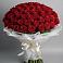 Букет 101 Красная роза Блэк Мэджик в Новощапово