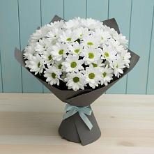 Букет цветов из:  Хризантемы в Новощапово