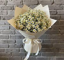 Букет цветов из:  Ромашки в Новощапово