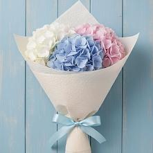 Букет цветов из:  Гортензия в Новощапово