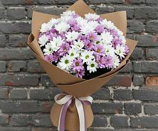 Букет цветов из:  Хризантемы в Новощапово