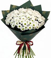 Букет цветов из:  Хризантемы #REPLACE_PRED# Новощапово