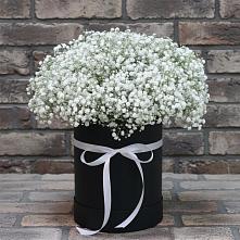 Цветочная композиция из Гипсофила в шляпной коробке в Новощапово