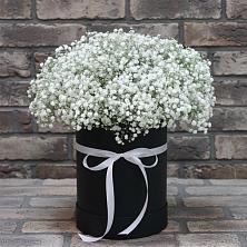 Цветочная композиция из Гипсофила в шляпной коробке в Новощапово