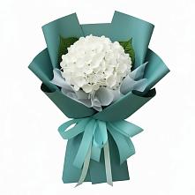 Букет цветов из:  Гортензия в Новощапово